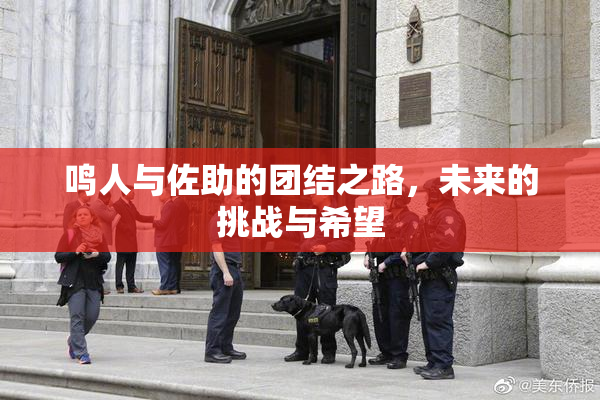 鸣人与佐助的团结之路，未来的挑战与希望
