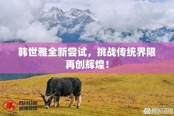 韩世雅全新尝试，挑战传统界限再创辉煌！
