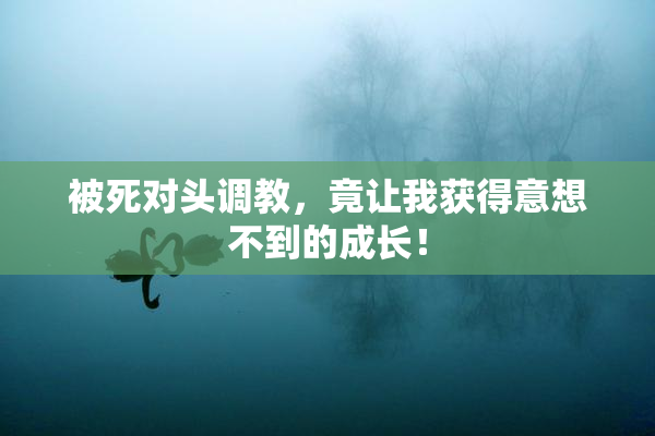 被死对头调教，竟让我获得意想不到的成长！