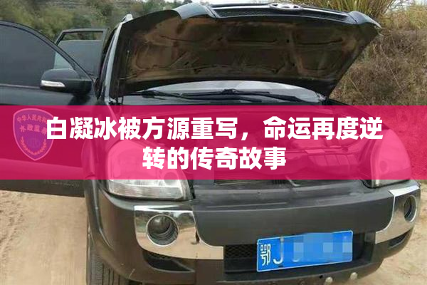 白凝冰被方源重写，命运再度逆转的传奇故事