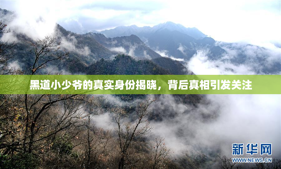 黑道小少爷的真实身份揭晓，背后真相引发关注