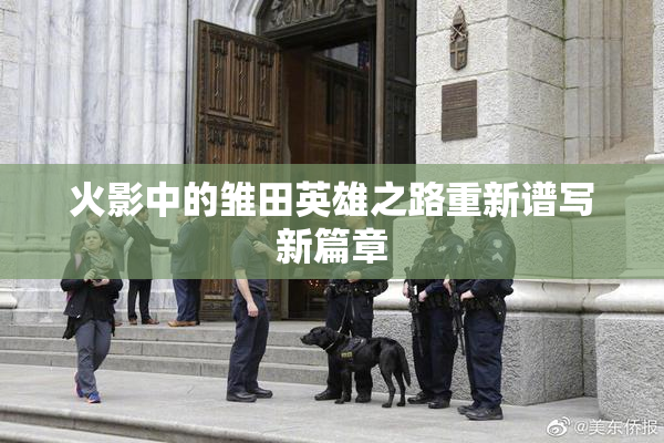 火影中的雏田英雄之路重新谱写新篇章