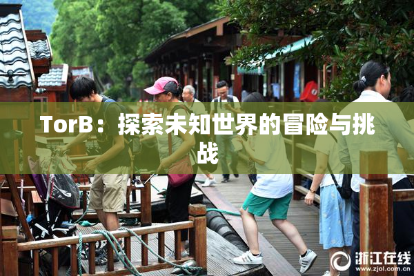 TorB：探索未知世界的冒险与挑战