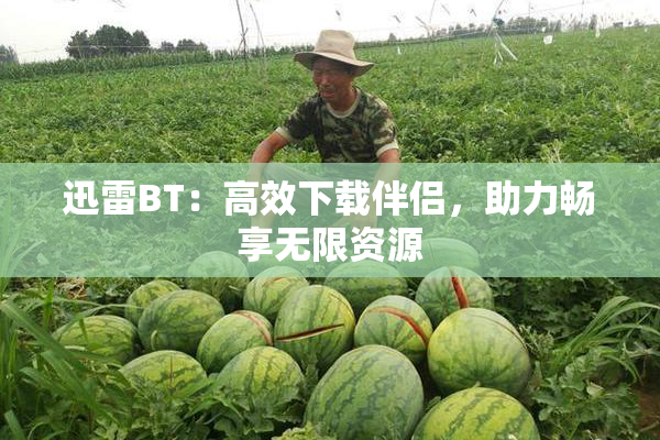 迅雷BT：高效下载伴侣，助力畅享无限资源