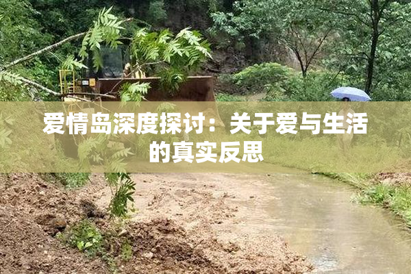 爱情岛深度探讨：关于爱与生活的真实反思