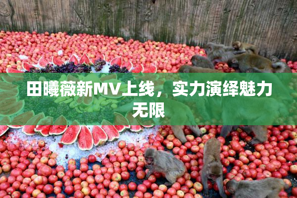田曦薇新MV上线，实力演绎魅力无限