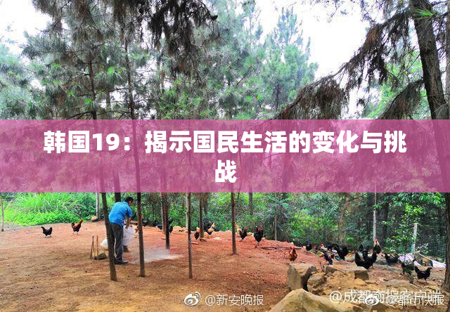 韩国19：揭示国民生活的变化与挑战