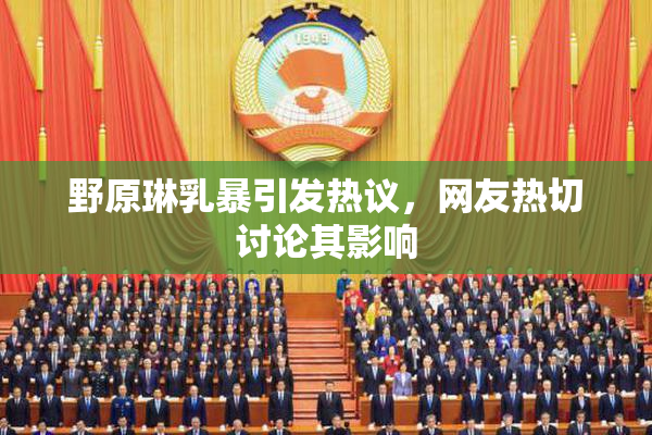 野原琳乳暴引发热议，网友热切讨论其影响