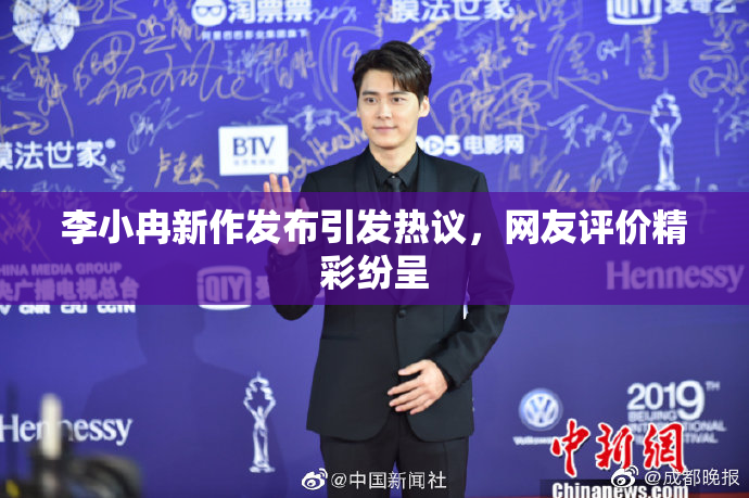 李小冉新作发布引发热议，网友评价精彩纷呈