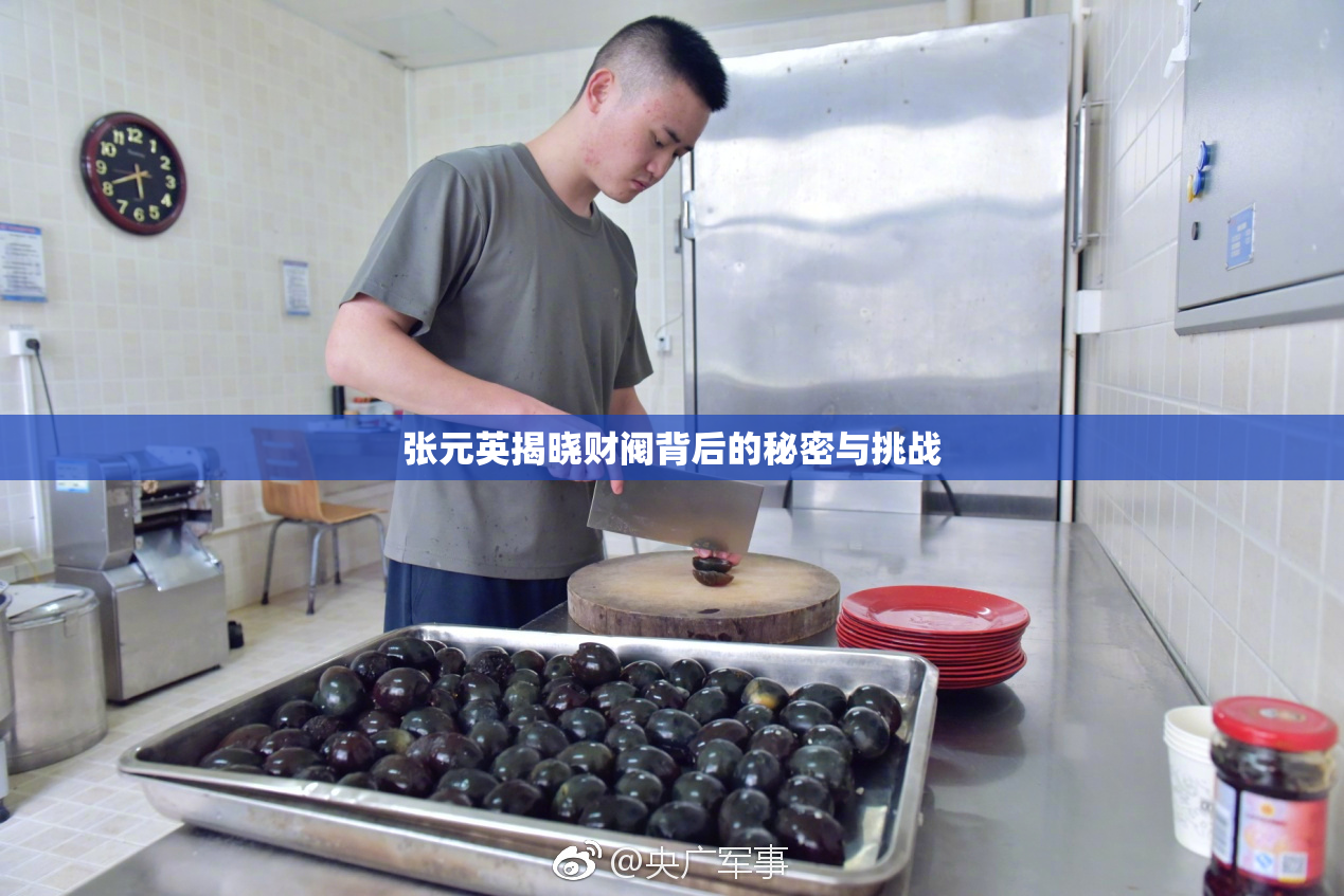 张元英揭晓财阀背后的秘密与挑战
