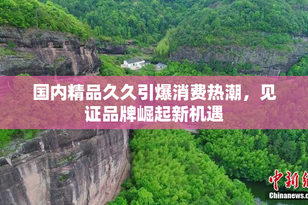 国内精品久久引爆消费热潮，见证品牌崛起新机遇