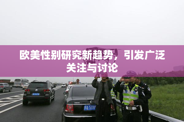 欧美性别研究新趋势，引发广泛关注与讨论