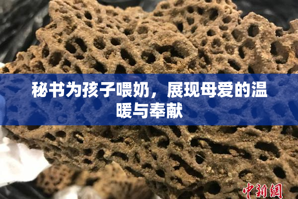 秘书为孩子喂奶，展现母爱的温暖与奉献