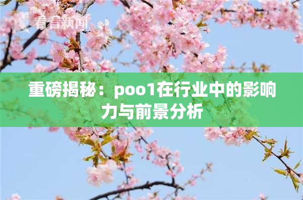 重磅揭秘：poo1在行业中的影响力与前景分析
