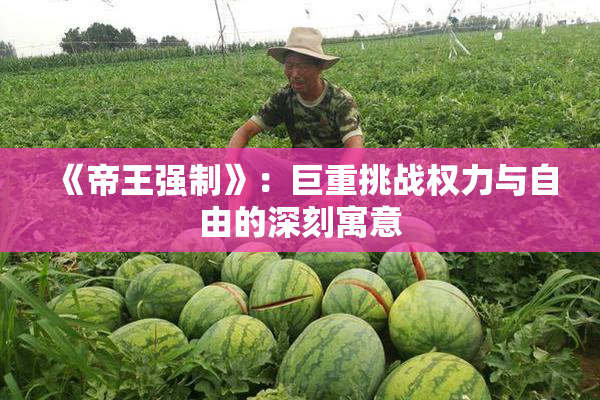《帝王强制》：巨重挑战权力与自由的深刻寓意