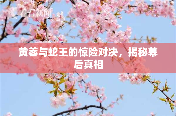 黄蓉与蛇王的惊险对决，揭秘幕后真相