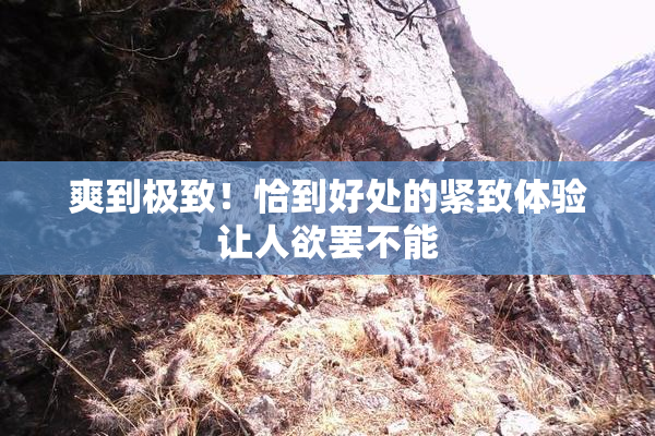 爽到极致！恰到好处的紧致体验让人欲罢不能