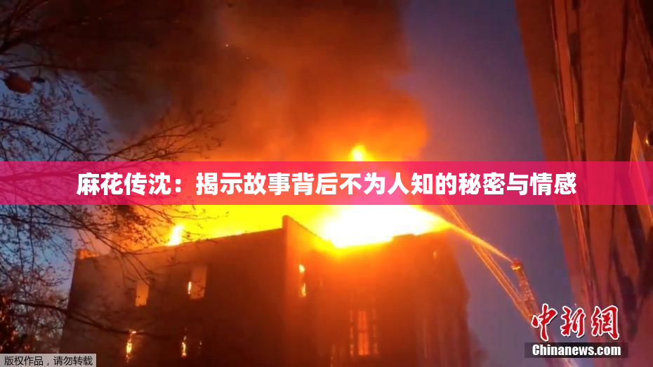 麻花传沈：揭示故事背后不为人知的秘密与情感