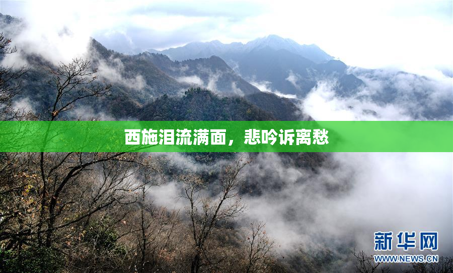 西施泪流满面，悲吟诉离愁