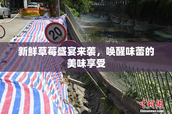 新鲜草莓盛宴来袭，唤醒味蕾的美味享受