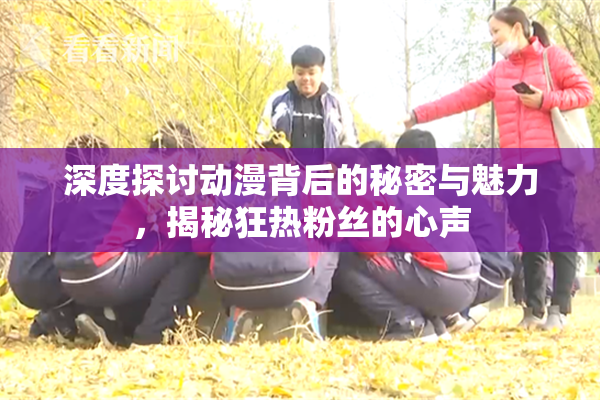 深度探讨动漫背后的秘密与魅力，揭秘狂热粉丝的心声