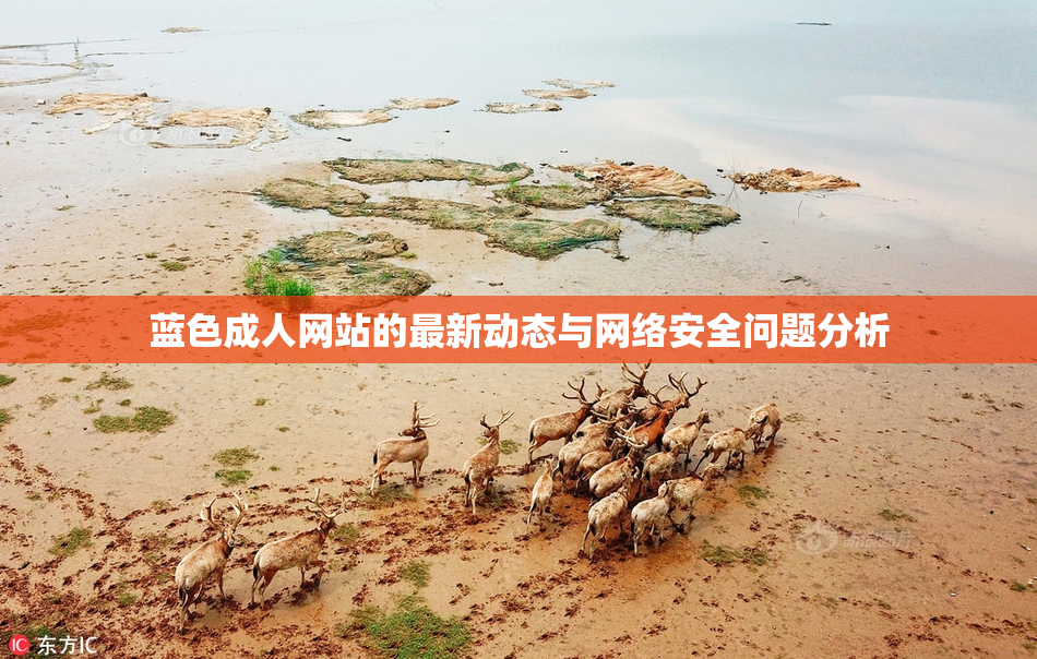 蓝色成人网站的最新动态与网络安全问题分析