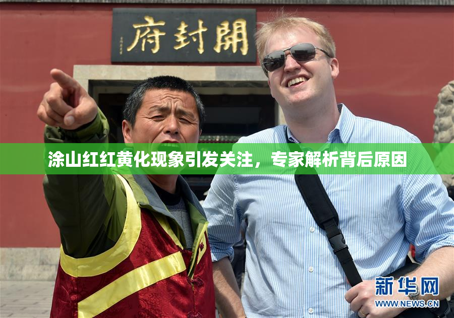 涂山红红黄化现象引发关注，专家解析背后原因
