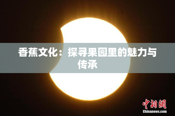 香蕉文化：探寻果园里的魅力与传承