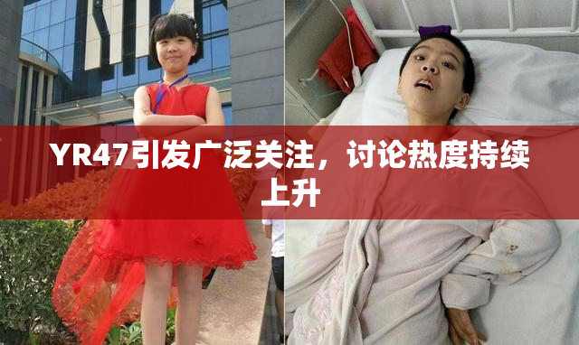YR47引发广泛关注，讨论热度持续上升