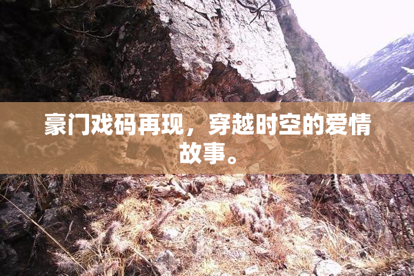 豪门戏码再现，穿越时空的爱情故事。