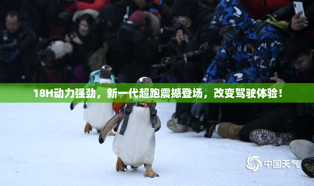 18H动力强劲，新一代超跑震撼登场，改变驾驶体验！