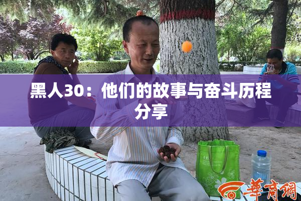 黑人30：他们的故事与奋斗历程分享