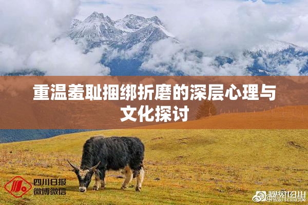 重温羞耻捆绑折磨的深层心理与文化探讨