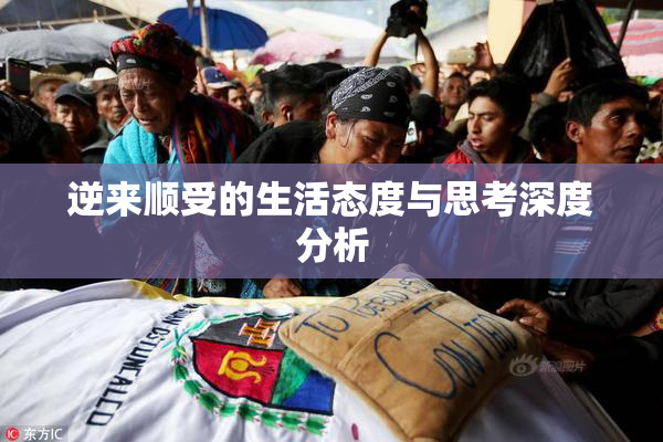 逆来顺受的生活态度与思考深度分析