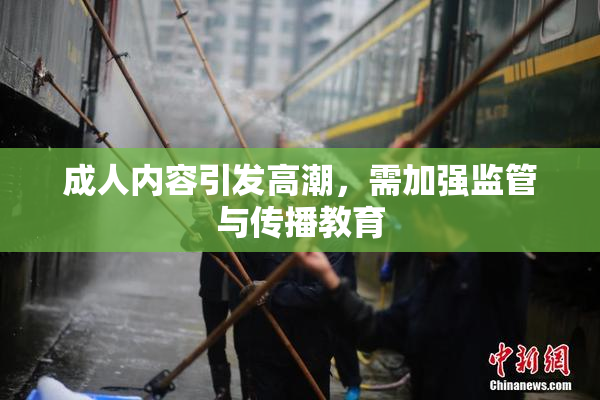 成人内容引发高潮，需加强监管与传播教育