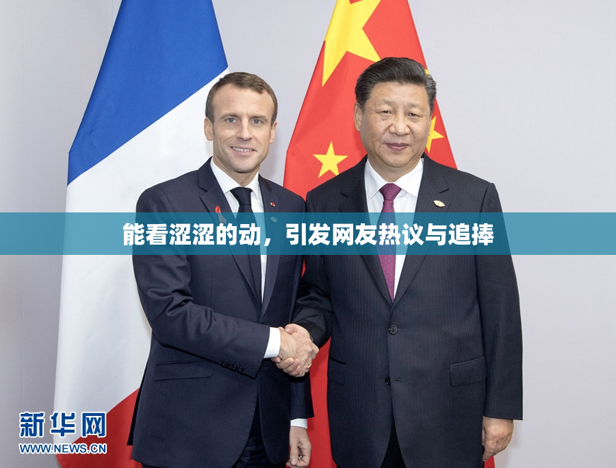 能看涩涩的动，引发网友热议与追捧
