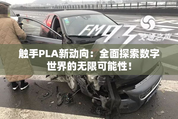 触手PLA新动向：全面探索数字世界的无限可能性！