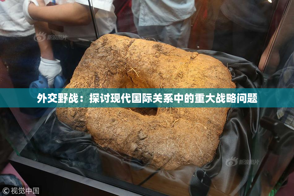 外交野战：探讨现代国际关系中的重大战略问题