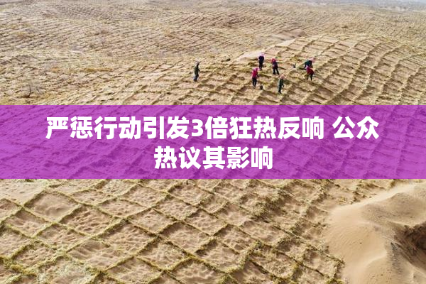 严惩行动引发3倍狂热反响 公众热议其影响