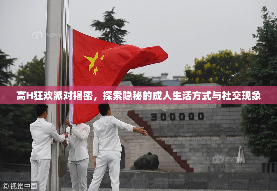 高H狂欢派对揭密，探索隐秘的成人生活方式与社交现象