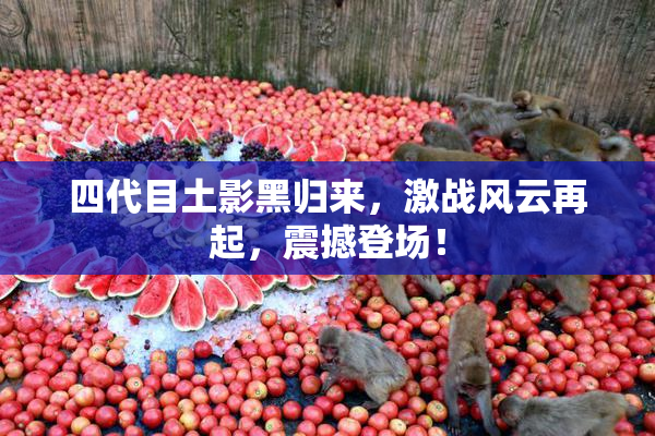 四代目土影黑归来，激战风云再起，震撼登场！