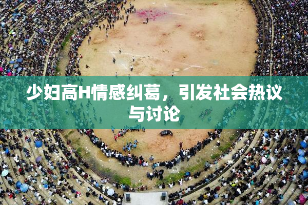 少妇高H情感纠葛，引发社会热议与讨论