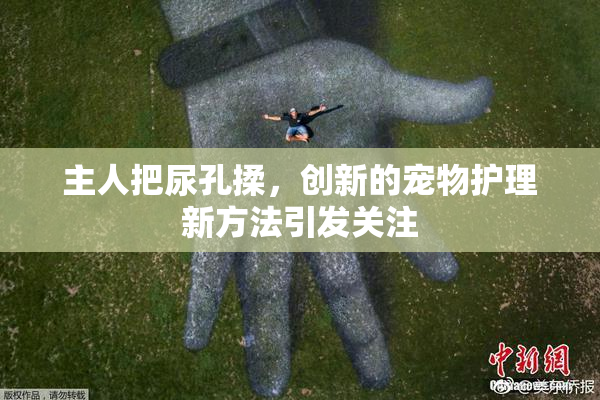 主人把尿孔揉，创新的宠物护理新方法引发关注