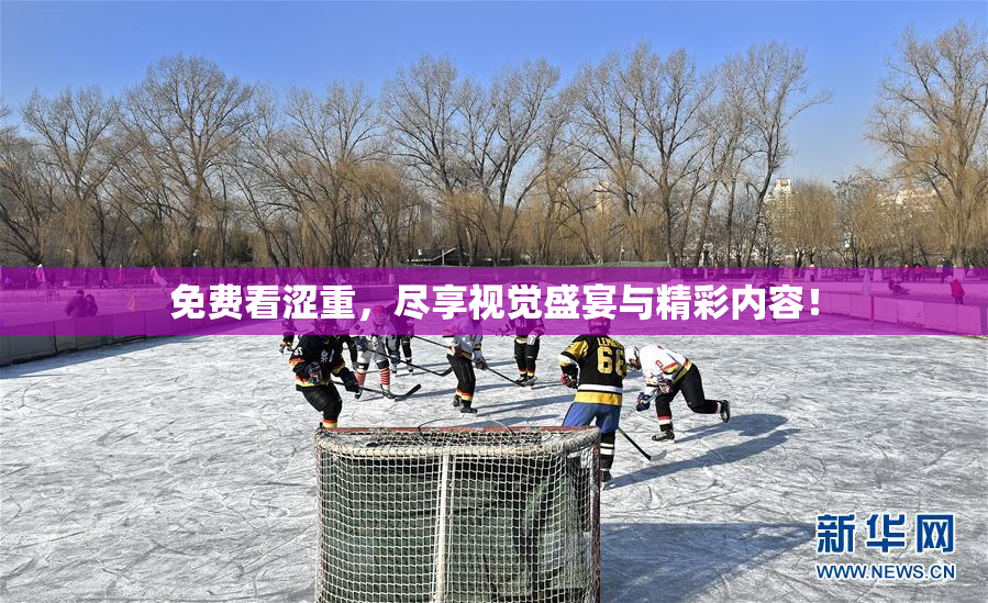 免费看涩重，尽享视觉盛宴与精彩内容！
