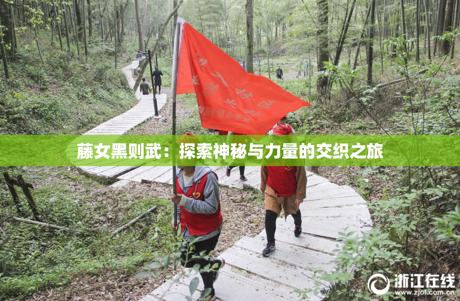 藤女黑则武：探索神秘与力量的交织之旅