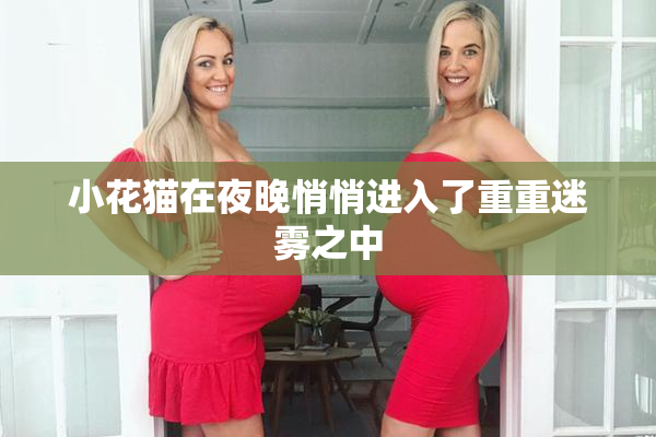 小花猫在夜晚悄悄进入了重重迷雾之中