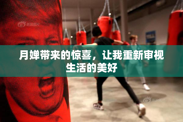 月婵带来的惊喜，让我重新审视生活的美好
