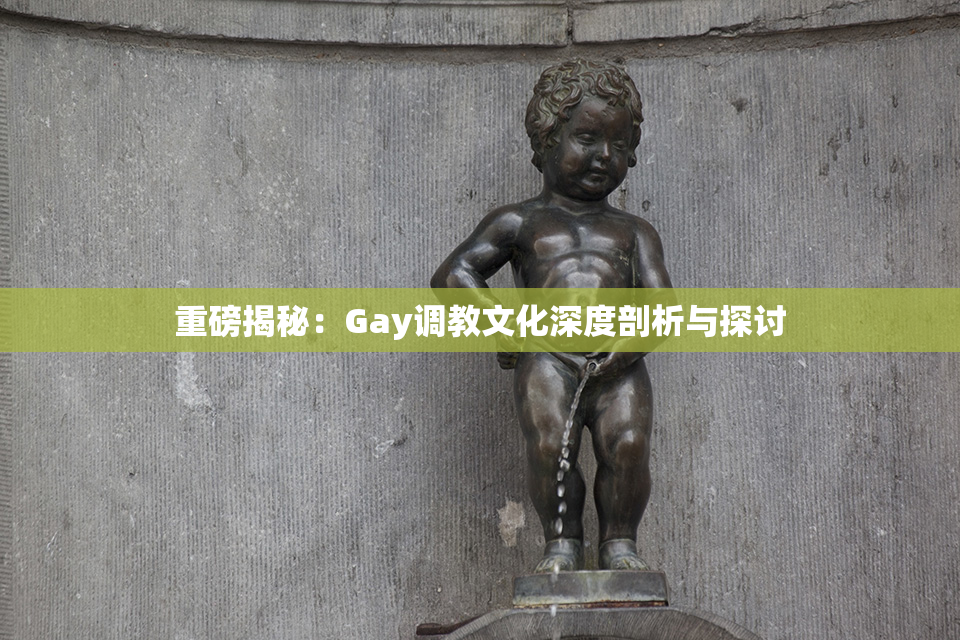 重磅揭秘：Gay调教文化深度剖析与探讨