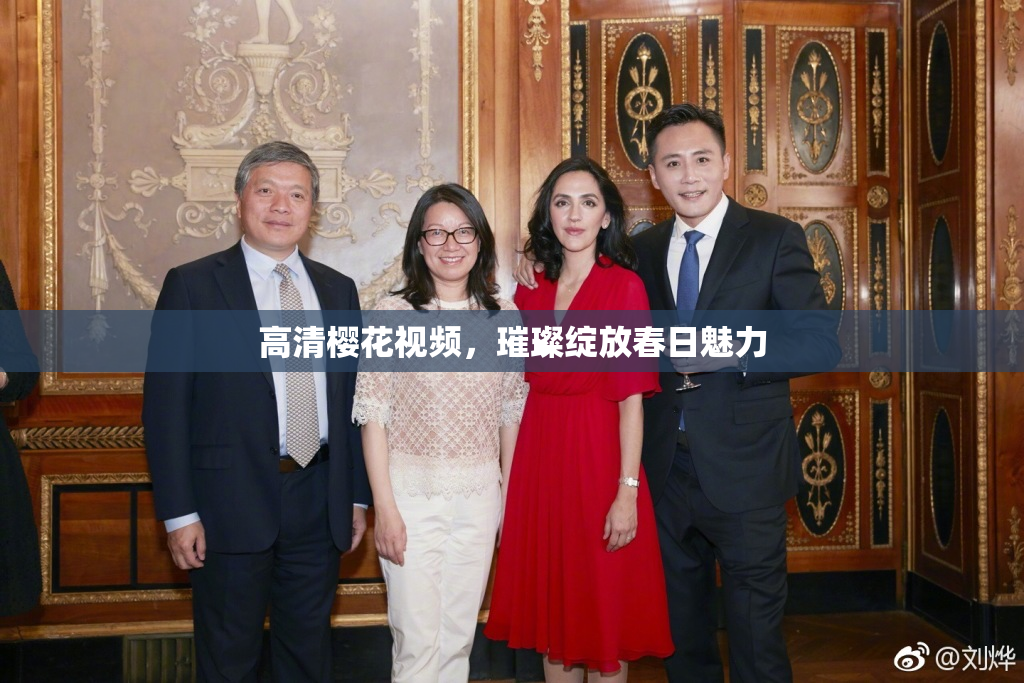 高清樱花视频，璀璨绽放春日魅力