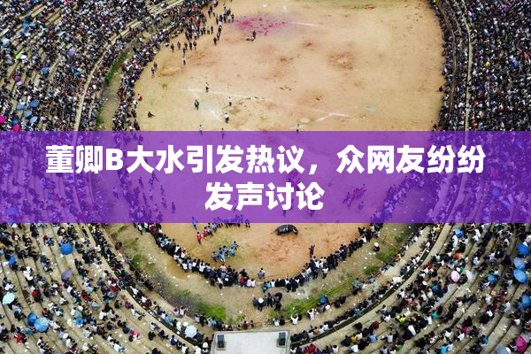 董卿B大水引发热议，众网友纷纷发声讨论